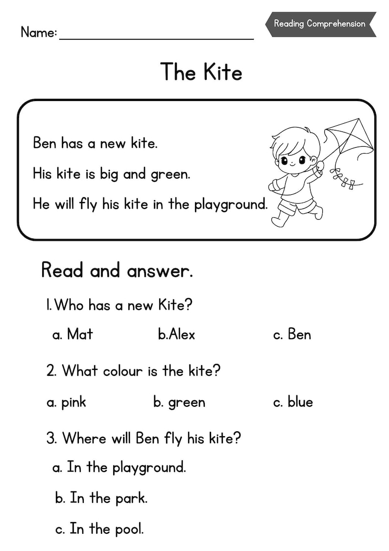Reading Comprehension Worksheet - Etsy