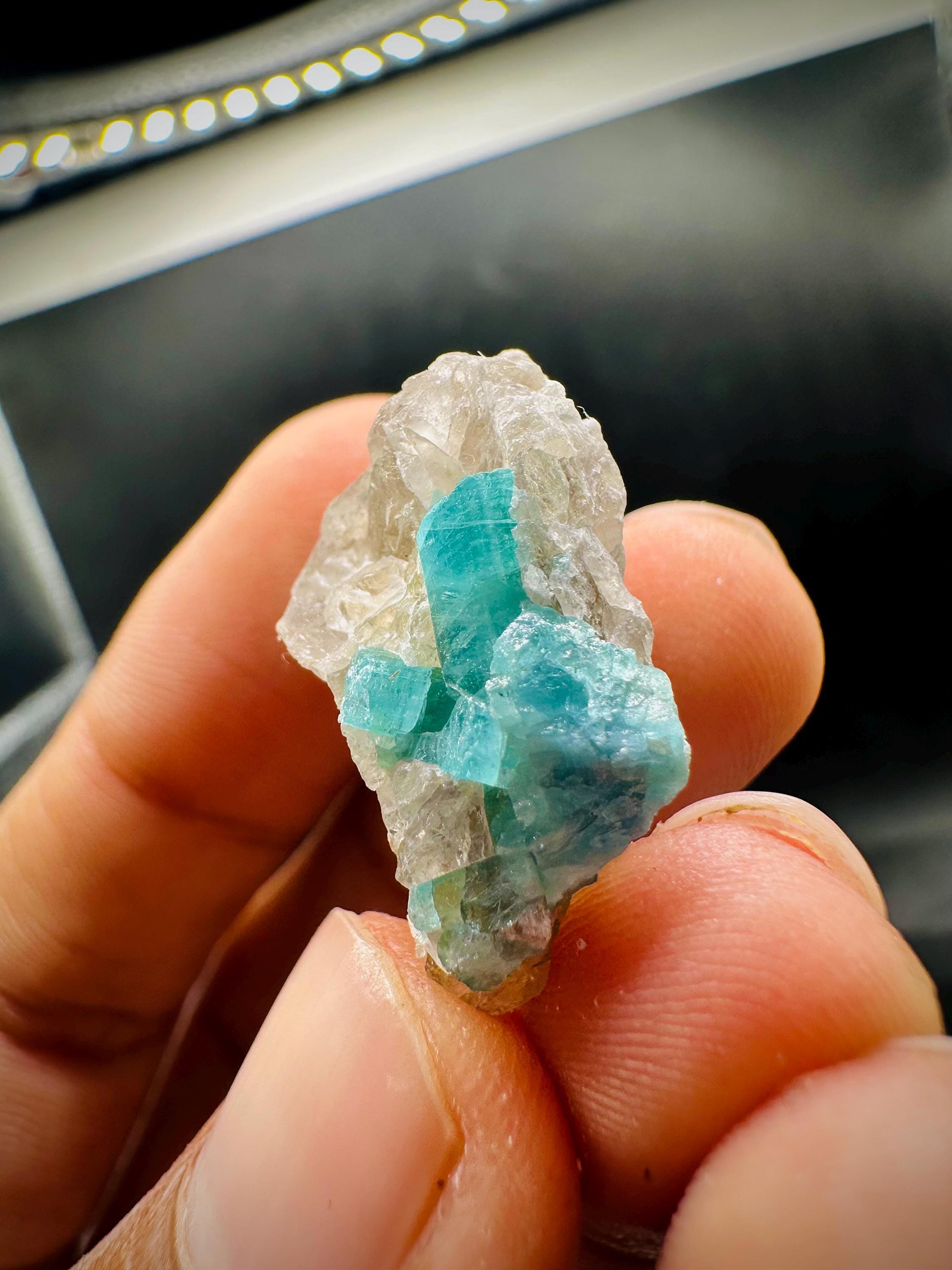 原石のマルチカラートルマリン結晶｜アフガニスタン産鉱物標本｜天然