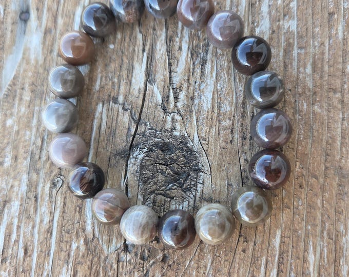 PETRIFIED WOOD MONTANA Bead Chakra Stretch Bracelet All Natural Semi-Precious Stones Healing Metaphysical