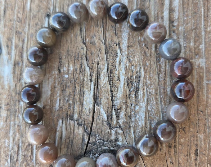 PETRIFIED WOOD MONTANA Bead Chakra Stretch Bracelet All Natural Semi-Precious Stones Healing Metaphysical