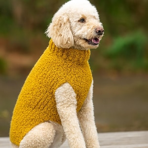 May include: A cream-colored dog wearing a mustard yellow turtleneck sweater. The dog is sitting on a wooden surface with a blurred green background. The sweater has a textured, looped knit.
