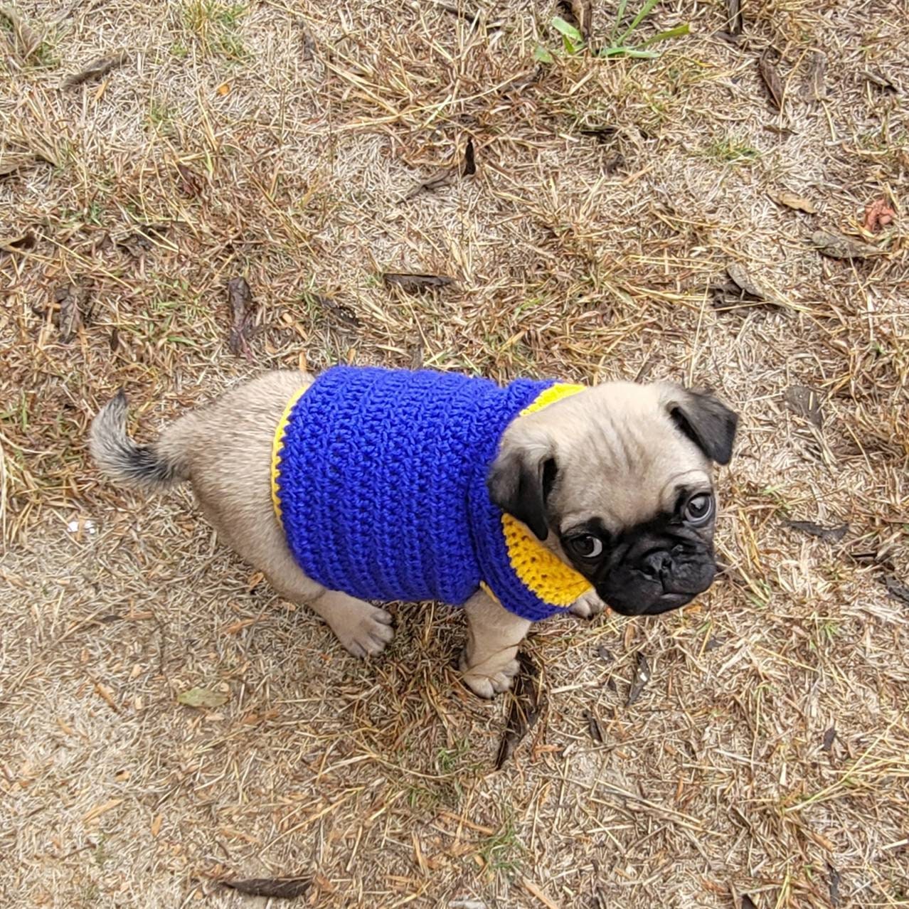 Pug Puppy Sweater Crochet Pattern French Bulldog Sweater Etsy