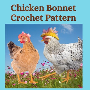 Crochet Pattern, Chicken Bonnet, Crochet for Pets