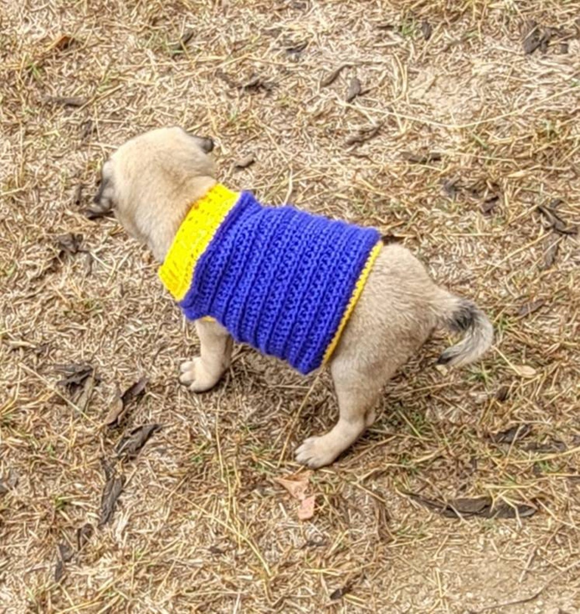 Pug Puppy Sweater Crochet Pattern French Bulldog Sweater Etsy