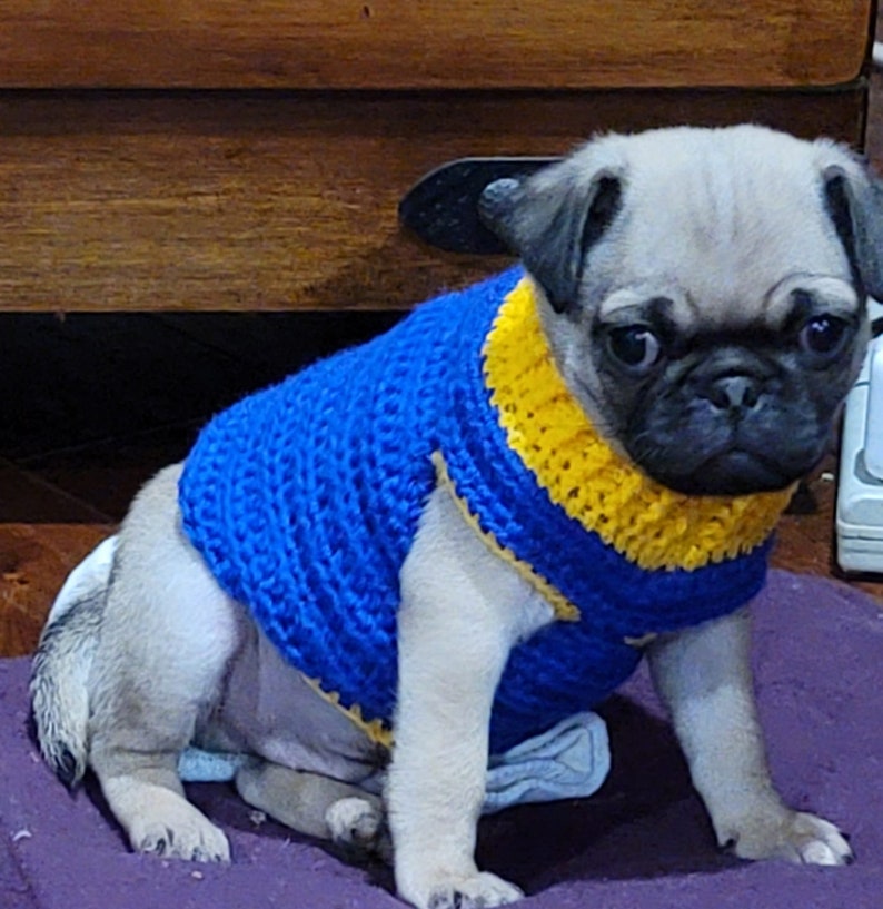 Pug Puppy Sweater Crochet Pattern French Bulldog Sweater Etsy