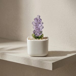 Puede incluir: Una pequeña maceta cuadrada de cerámica blanca llena de pequeños guijarros blancos, que contiene una flor de cristal de color lavanda. La flor tiene un racimo de pétalos redondeados y hojas de cristal verde. La maceta está sobre una estantería blanca.