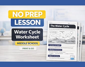 No Prep Water Cycle Worksheet | Middle School Science Lesson Print and Go Activity PDF