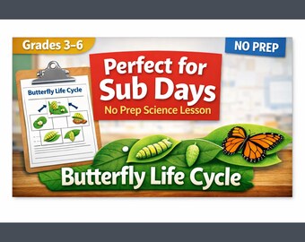 Emergency Sub Plan Science - Butterfly Life Cycle No Prep Activity Worksheet for Teachers