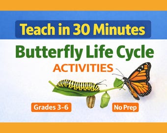 Butterfly Life Cycle Lesson Plan – No Prep Science Activity for Grades 3–6