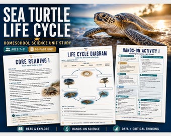 Sea Turtle Life Cycle Homeschool Science Unit Study | Printable Activities | Ages 7–11