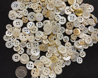 Könnte beinhalten: Eine große Ansammlung runder, cremeweißer, schimmernder Perlmuttknöpfe in verschiedenen Größen, die jeweils vier Löcher aufweisen. Eine silberfarbene US-Zehn-Cent-Münze befindet sich in der unteren linken Ecke und dient als Größenvergleich.