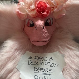 May include: A pink dragon-like mask with a floral crown. The mask has large, expressive eyes and a textured surface. The fur around the mask is a matching pink. A handwritten note reads "READ DESCRIPTION BEFORE BUYING".