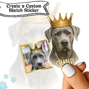 Custom Pet Sticker, Die Cut Vinyl Waterproof, Personalized Gift, Custom Dog Sticker, Custom Cat Sticker, Water Bottle Sticker, Pet Decal
