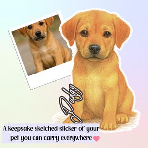 Custom Pet Portrait Sticker: Personalized Dog/Cat Sketch Decal