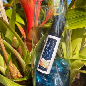 Sandalwood, Bergamot, & Coconut Cologne