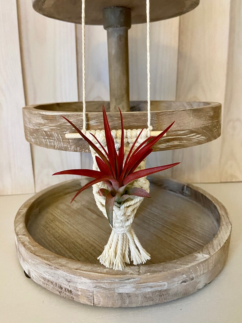 Macramé Air plant Hanger for Farmhouse Tiered Tray Air