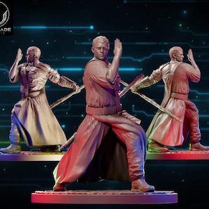 Chirrut proxy - star wars legion shatterpoint compatible warblade
