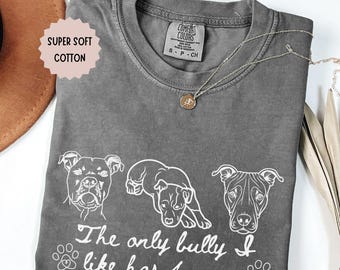 Pit Bull Shirt for Dog Lovers, Comfort Colors Anti Bullying Dog Lover Tee, The Only Bully I Like Has Four Paws Shirt, Rescue Dog Advocate