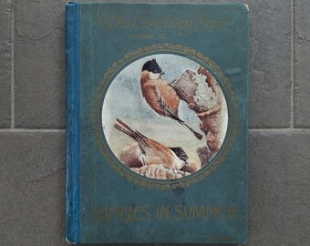 Antique Nature Book. The Circling Year. Book II. Rambles in Summer. Vintage Birds Wildlife Insects Flowers Illustrated Book. Westell. 1910s.