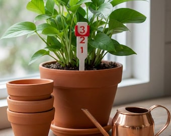 Plant Watering Reminder Stake | Manual Plant Care Tracker | Reusable Watering Schedule Tool | Indoor Plant Accessory