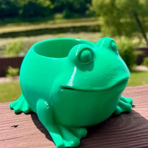 3D Printed Frog Planter