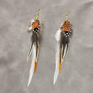 Peut inclure: Une paire de boucles d'oreilles en plumes avec des crochets dorés. Les boucles d'oreilles présentent un mélange de plumes marron, blanches et orange, avec un groupe de plumes en haut comprenant des accents mouchetés noirs et blancs. Les plumes sont disposées en un long design fluide.