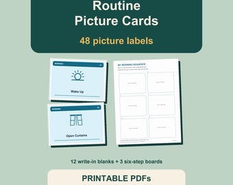 Visual Routine Cards Printable: 48 Picture Labels, 12 Write-In Blanks and 3 Sequence Boards