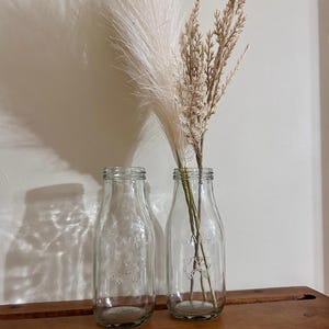 Verres à lait