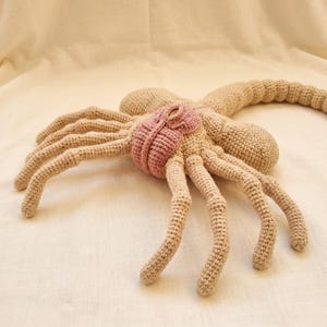 May include: A beige crocheted creature with a long segmented tail and eight spindly legs extending from a central body. The center of the creature features a rounded, textured pink section with a small opening, crafted with visible yarn stitches.