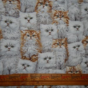 May include: Fabric featuring a repeating pattern of fluffy, long-haired cats in shades of white, cream, and brown. The cats have green eyes and are densely packed together. A wooden ruler is at the bottom of the image.