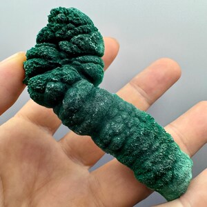 Großes Malachit Stalaktit Specimen: Congo Mineral Collection (121g)