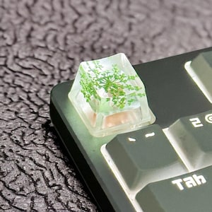 May include: A clear, square keycap with a miniature green plant encased inside, set on a dark gray keyboard. The keycap is illuminated, highlighting the plant's details. The keyboard keys are labeled with white text.