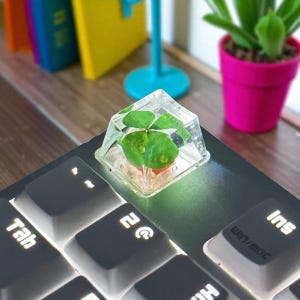 May include: A clear, geometric keycap with a four-leaf clover encased inside, sitting on a black keyboard. The keycap is lit from below, and the keyboard keys are white. The background includes a pink flower pot and colorful books.