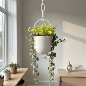 Pode incluir: Um vaso de plantas suspenso branco com um vaso redondo e uma estrutura metálica circular, suspenso por uma corrente branca. O vaso é preenchido com plantas verdes vibrantes, incluindo videiras penduradas com folhas em forma de coração. A cena é definida perto de uma janela.