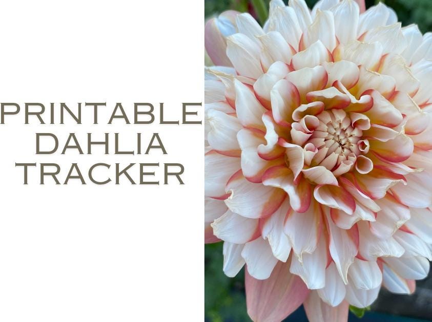 Dahlia Inventory Tracker: Garden Journal PDF for Flower Growers (25-Page Instant Download)