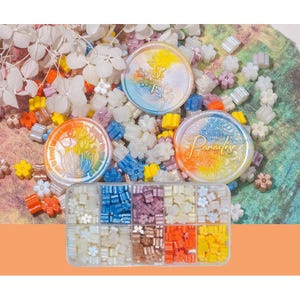 Pode incluir: Uma coleção de pequenas contas em forma de flor em várias cores, incluindo branco, azul, roxo, laranja e amarelo, organizadas numa caixa de armazenamento de plástico transparente dividida. Três selos de cera circulares com desenhos florais e texto estão colocados entre as contas soltas.