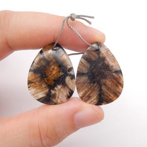 New Natural Chiastolite Gemstone Earring, Natural Stone, 27x21x5mm, 9.4g-W21043