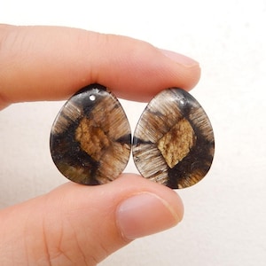 New Natural Chiastolite Gemstone Earring, Natural Stone, 21x17x4mm, 5.3g-W19967