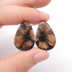 New Natural Chiastolite Gemstone Earring, Natural Stone, 26x17x4mm, 7g-W20783