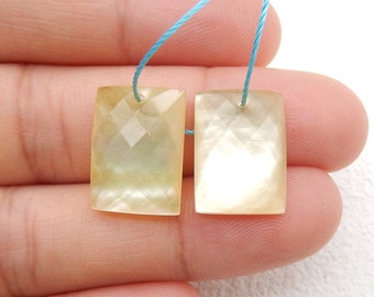 Natural Shell And White Quartz Intarsia Faceted Rectangle Gemstone Earring, 15x11x5mm, 3g-C2200