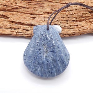 Natural Blue Fossil Coral Shell shape Gemstone Pendant Bead for DIY Jewelry Making, 28x24x9mm, 7.1g-W27369