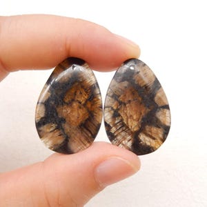 New Natural Chiastolite Gemstone Earring, Natural Stone, 29x20x4mm, 9.1g-W19975