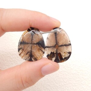 New Natural Chiastolite Gemstone Earring, Natural Stone, 25x20x4mm, 8g-W19763