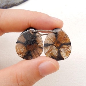 New Natural Chiastolite Gemstone Earring, Natural Stone, 22x19x4mm, 6g-W19970