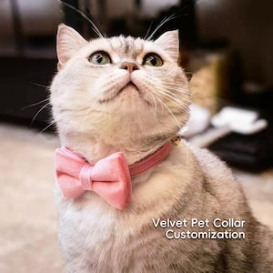 Luxury Pink Velvet Personalized Cat Collar with Bow Tie Set,Custom Engraved Pet Name Plate Metal Buckle, Multiple Color Collar,Dog/Cat gift