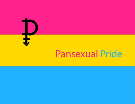 Image result for pansexual pride flag