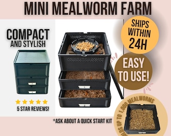 Mealworm Farm- breed and raise your own live-feeders