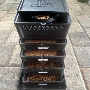 Max Stack! 5 Tier Mealworm Farm- breed and raise your own live-feeders