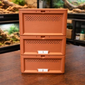 Superworm Breeding System- breed and raise your own live-feeders