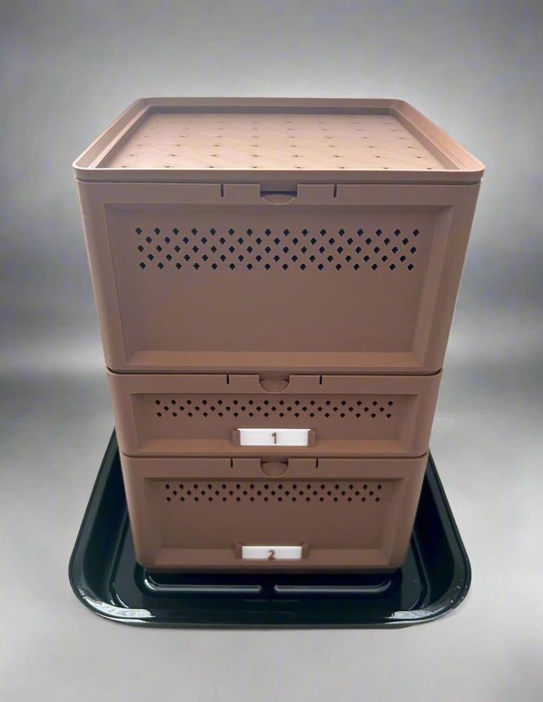 Superworm Container Rack Superworm Farm- Breed and Raise Your Own Live-feeders - Etsy